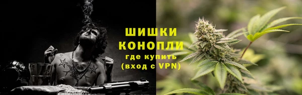 ешки Каменногорск