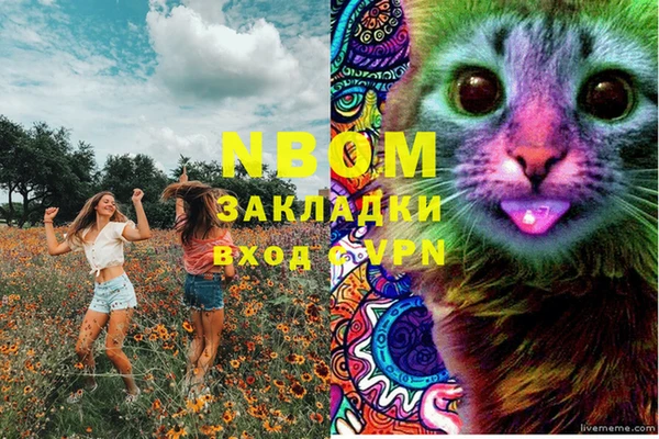 ешки Каменногорск